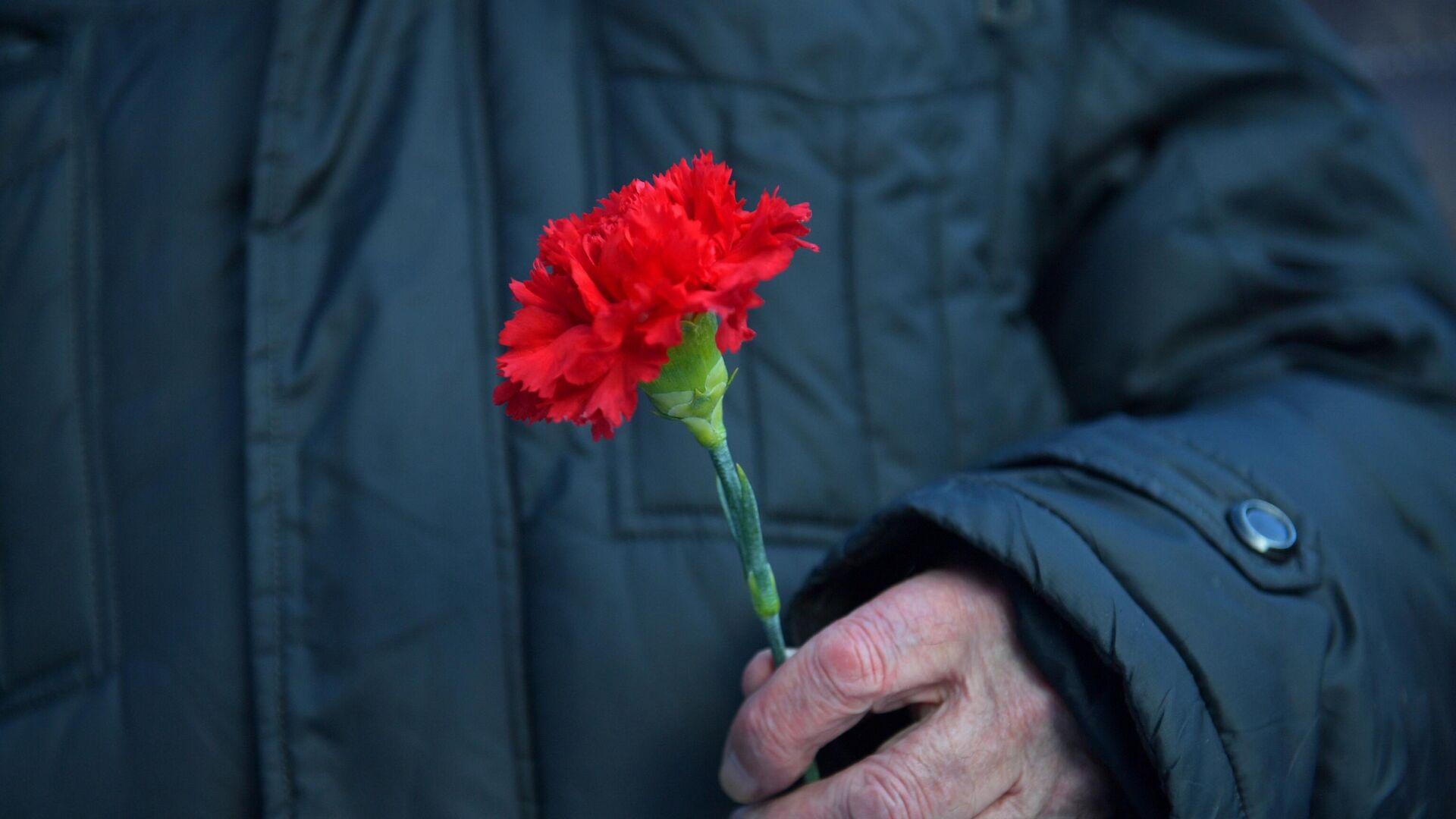 Цветы в память о павших в годы Великой Отечественной войны, архивное фото Цветы в память о павших в годы Великой Отечественной войны, архивное фото - Sputnik Литва, 1920, 09.05.2025