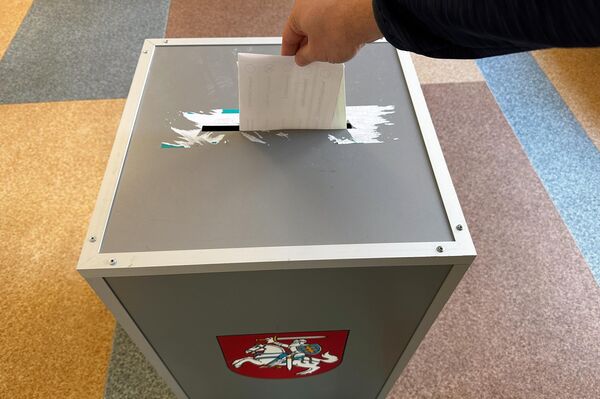 Одновременно с президентскими выборами в Литве проходит обязательный референдум о двойном гражданстве. - Sputnik Литва
