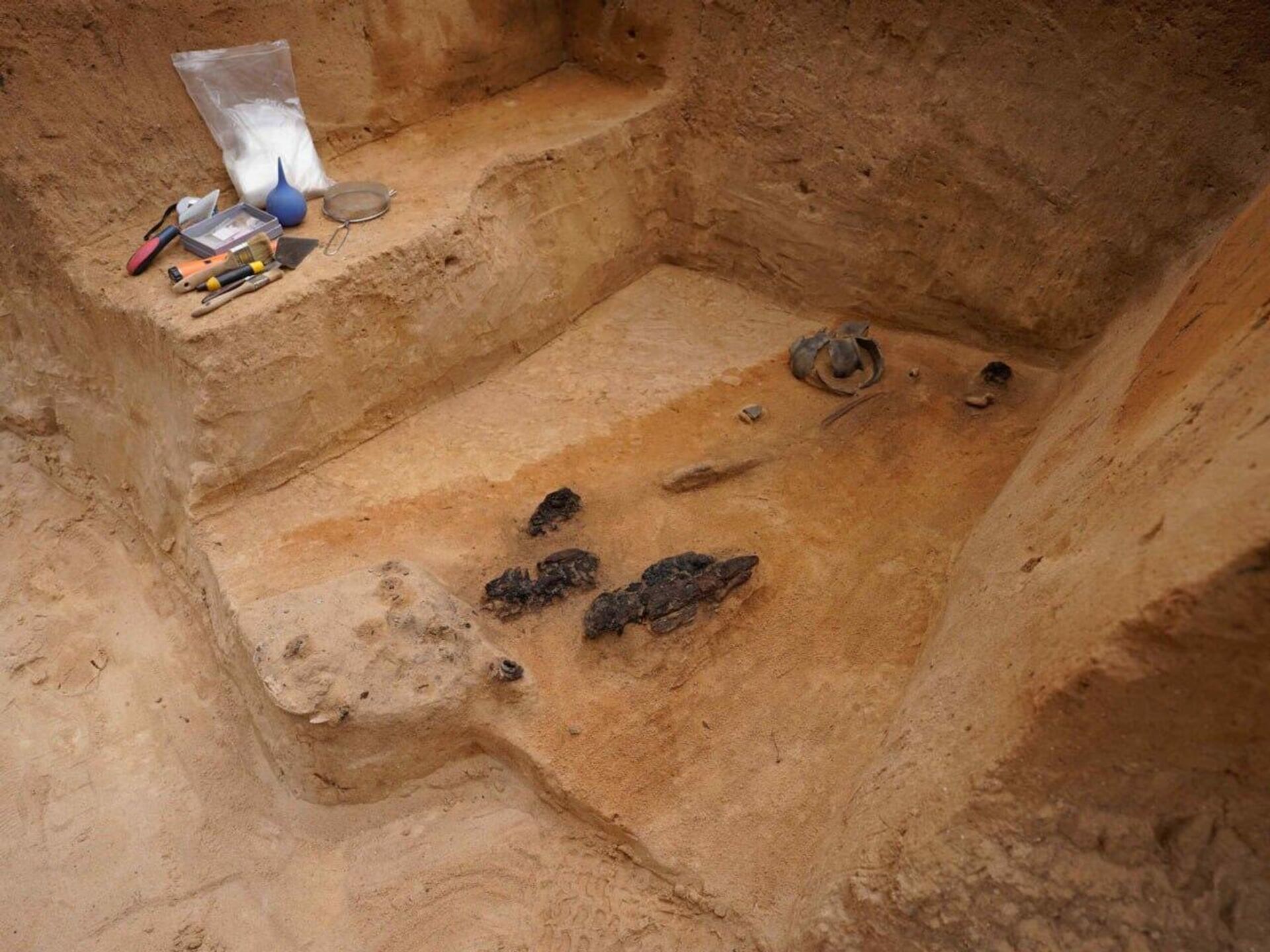 В Вильнюсе, на месте расположения Вяркяйского имения, археологи обнаружили могилы XIII-XIV веков - Sputnik Литва, 1920, 15.05.2024