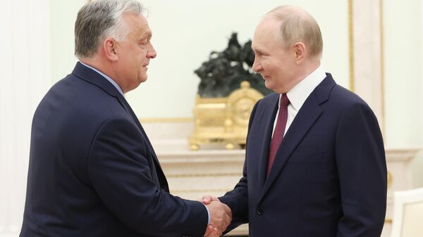 Президент РФ Владимир Путин встретился с премьер-министром Венгрии В. Орбаном - Sputnik Литва