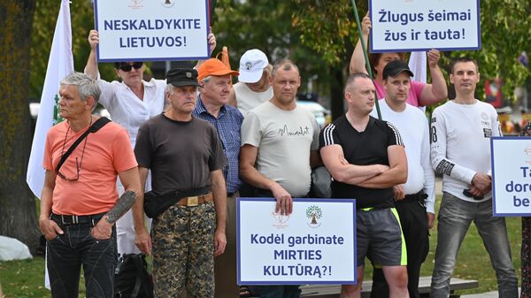 Митинг в Вильнюсе против закона о гражданском союзе - Sputnik Литва