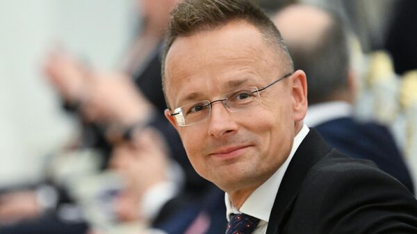 Министр иностранных дел и внешнеэкономических связей Венгрии Петер Сийярто - Sputnik Литва