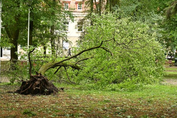 Действиями властей также оказались недовольны и жители балтийской республики, которые массово жаловались на то, что службы вовремя не сообщили о приближении стихии. Кроме того, из-за стихии наблюдались перебои в расписании поездов, были отменены некоторые авиарейсы. - Sputnik Литва