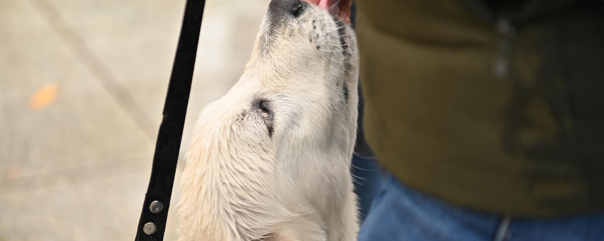 Акция в Вильнюсе в поддержку слабовидящих жителей - Sputnik Литва, 1920, 03.10.2024