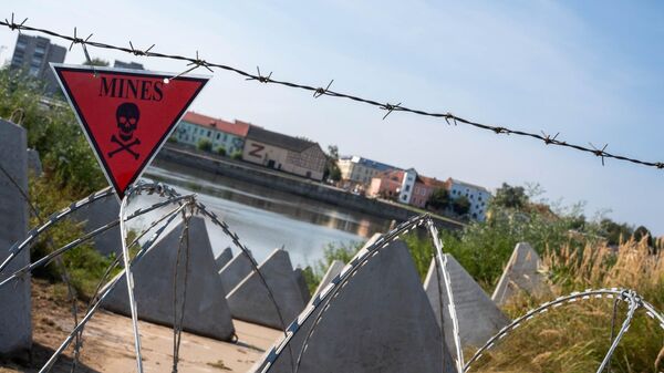 Зубы дракона у моста Королевы Луизы в Панемуне, архивное фото - Sputnik Литва