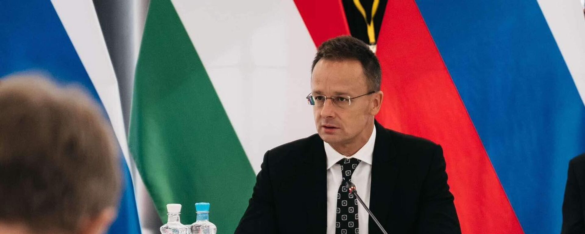 Министр иностранных дел и внешнеэкономических связей Венгрии Петер Сийярто, архивное фото - Sputnik Литва, 1920, 24.03.2026