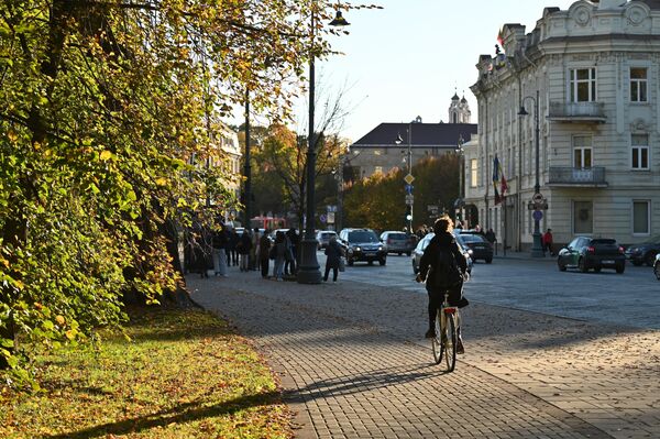 За полмесяца в Вильнюсе было шесть дней, когда температура воздуха поднималась выше среднего значения. Тем не менее, многие дни оставались очень близки к норме. - Sputnik Литва