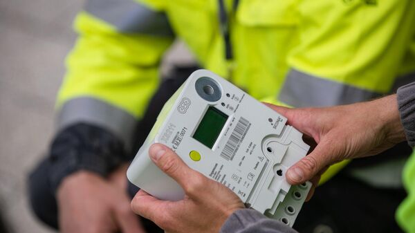 Сотрудник ESO с умным электросчетчиком, архивное фото - Sputnik Литва