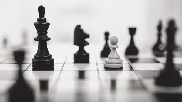 Шахматы, архивное фото - Sputnik Литва