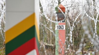 Пограничные столбы на границе Литвы и Белоруссии, архивное фото