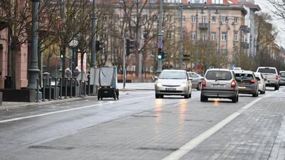 Поздняя осень в Вильнюсе