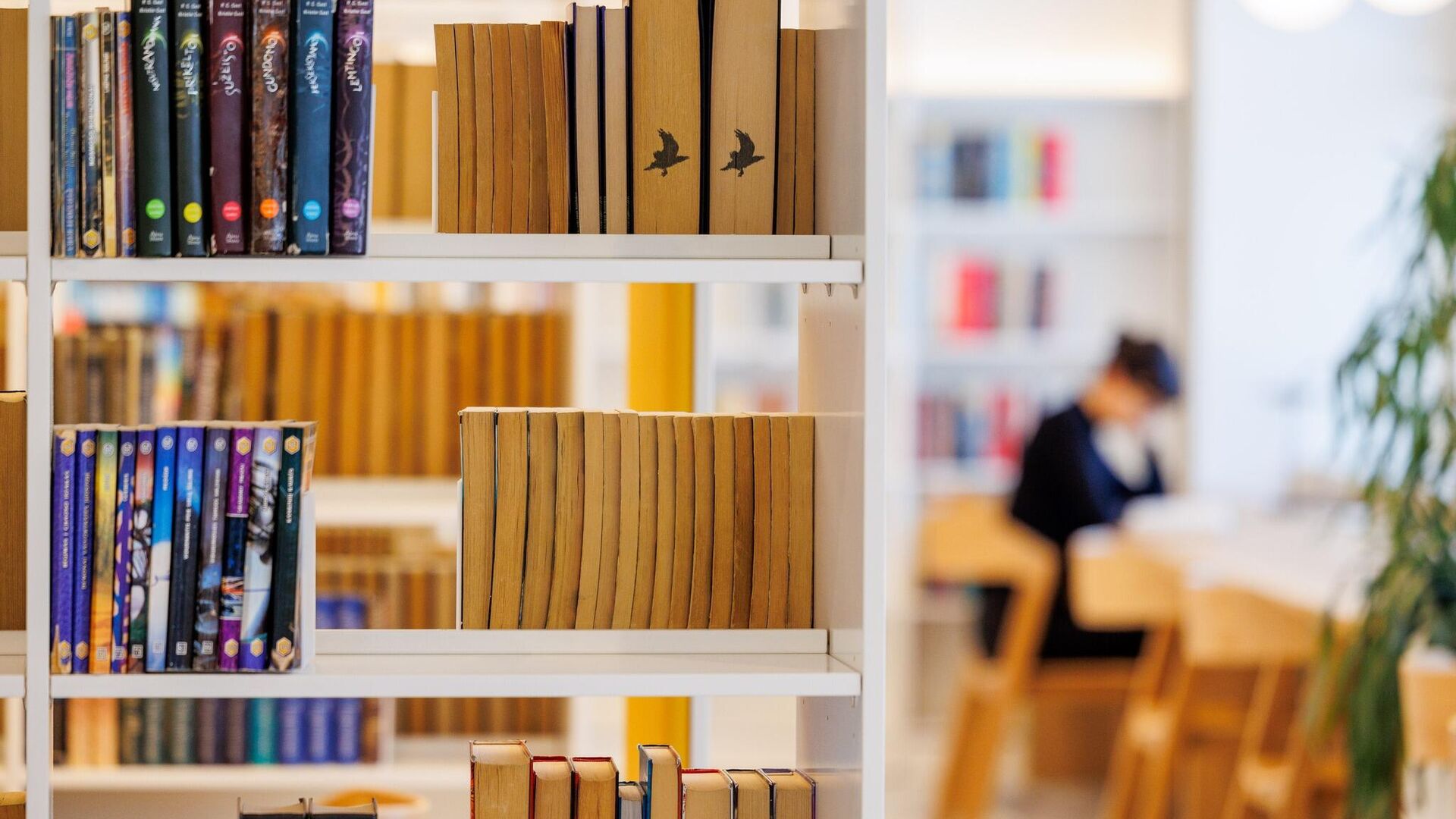 Книжные полки в библиотеке, архивное фото Книжные полки в библиотеке, архивное фото - Sputnik Литва, 1920, 30.06.2025