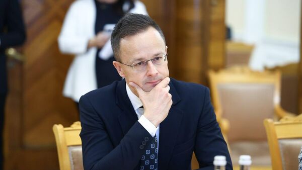 Министр иностранных дел и внешнеэкономических связей Венгрии Петер Сийярто, архивное фото - Sputnik Литва