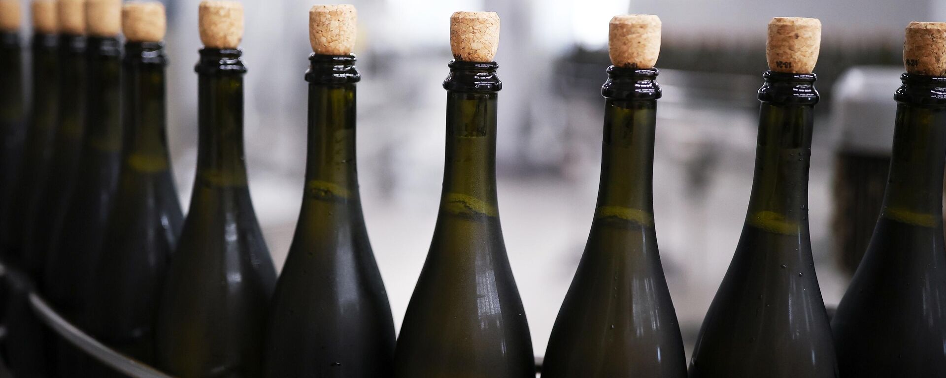 Бутылки, архивное фото - Sputnik Литва, 1920, 17.12.2025