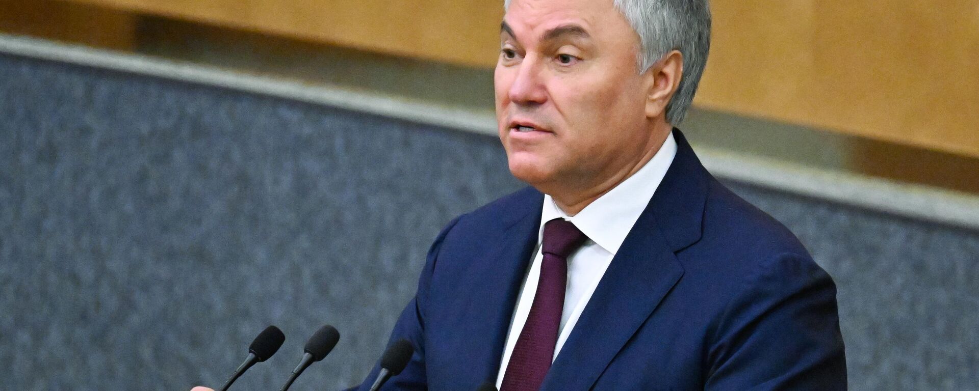 Председатель Государственной Думы РФ Вячеслав Володин, архивное фото - Sputnik Литва, 1920, 16.09.2025