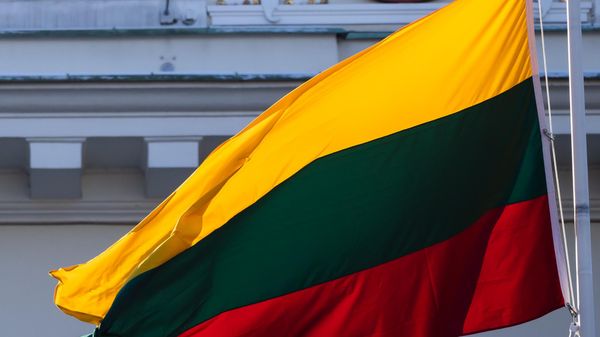 Флаг Литвы на фоне герба, архивное фото - Sputnik Литва