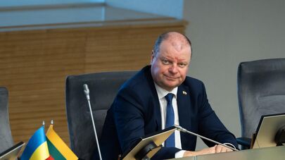 Спикер Сейма Литвы Саулюс Сквернялис, архивное фото