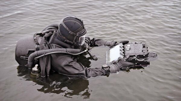 Водолаз ВС Литвы - Sputnik Литва