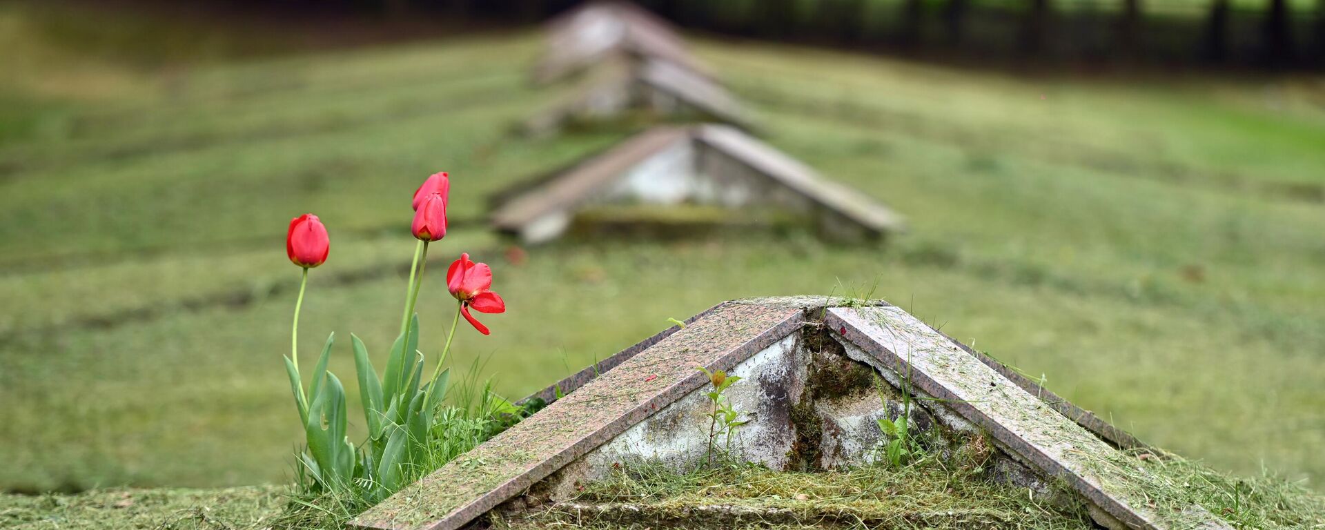 Воинские захоронения в Новой Вильне Воинские захоронения в Новой Вильне - Sputnik Литва, 1920, 11.07.2025