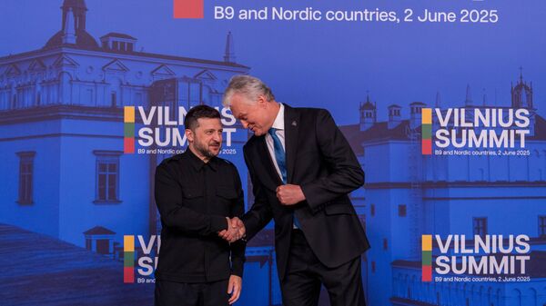 Владимир Зеленский и президент Литвы Гитанас Науседа - Sputnik Литва
