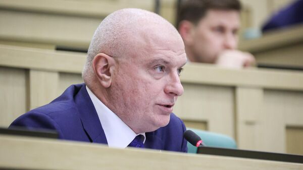 Председатель комитета Совета Федерации РФ по конституционному законодательству и государственному строительству Андрей Клишас - Sputnik Литва