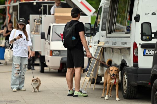 На фото: посетители фестиваля Food truck 2025. - Sputnik Литва