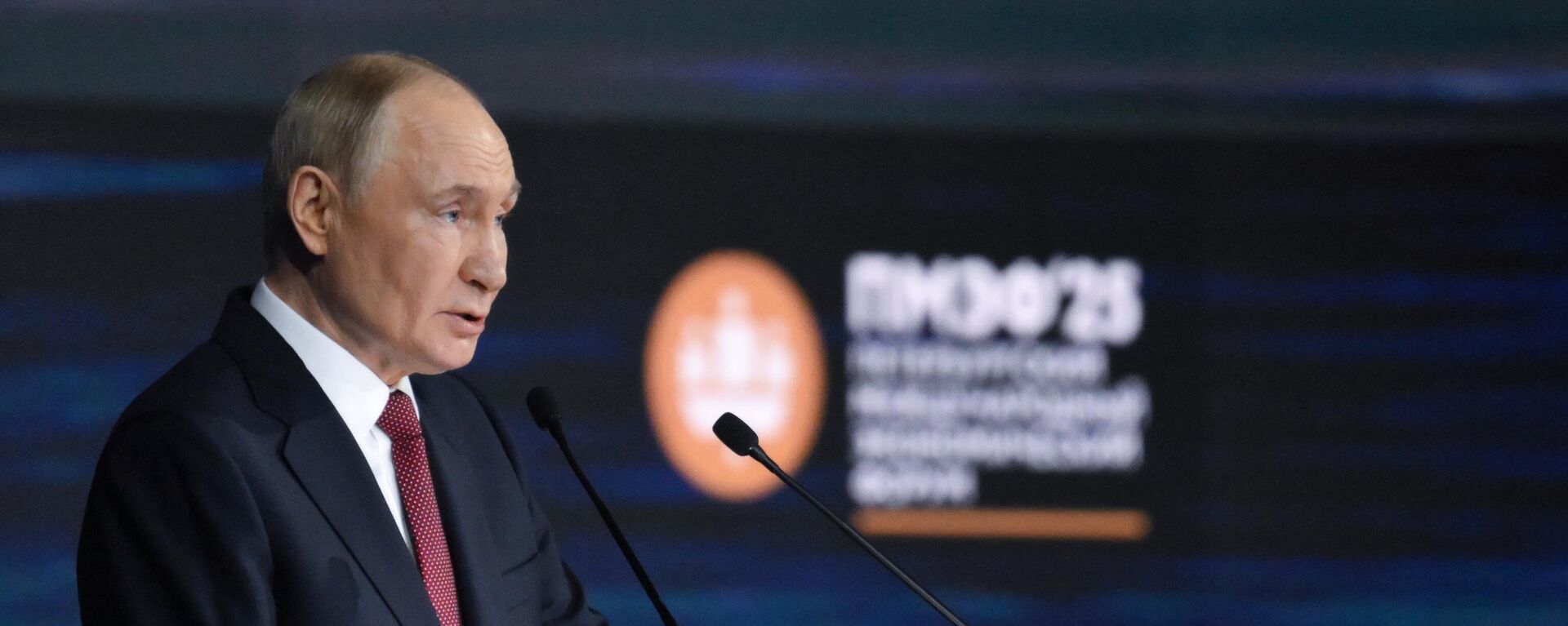 Президент РФ Владимир Путин на пленарном заседании XXVIII Петербургского международного экономического форума - Sputnik Литва, 1920, 20.06.2025