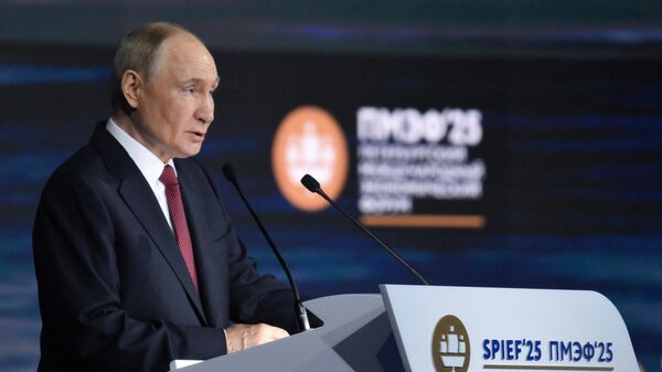 Президент РФ Владимир Путин на пленарном заседании XXVIII Петербургского международного экономического форума - Sputnik Литва