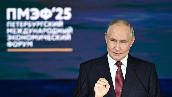 Президент РФ Владимир Путин на пленарном заседании XXVIII Петербургского международного экономического форума - Sputnik Литва