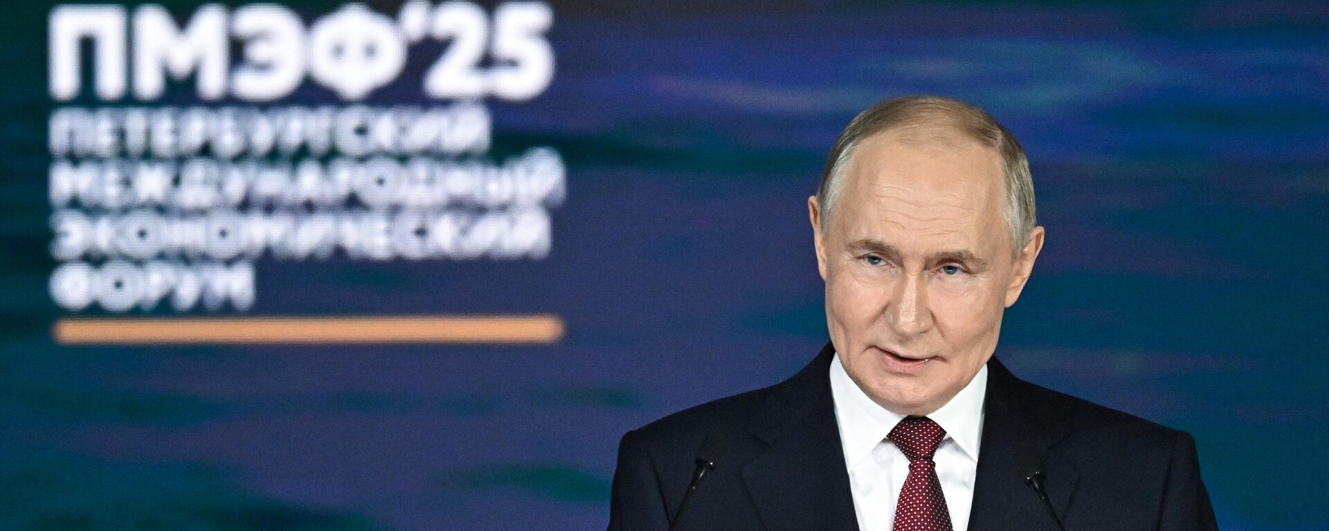 Президент РФ Владимир Путин на пленарном заседании XXVIII Петербургского международного экономического форума - Sputnik Литва, 1920, 20.06.2025