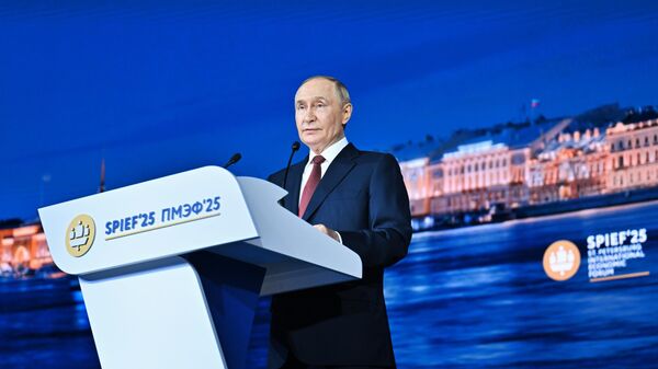 Президент РФ Владимир Путин на пленарном заседании Петербургского международного экономического форума - Sputnik Литва