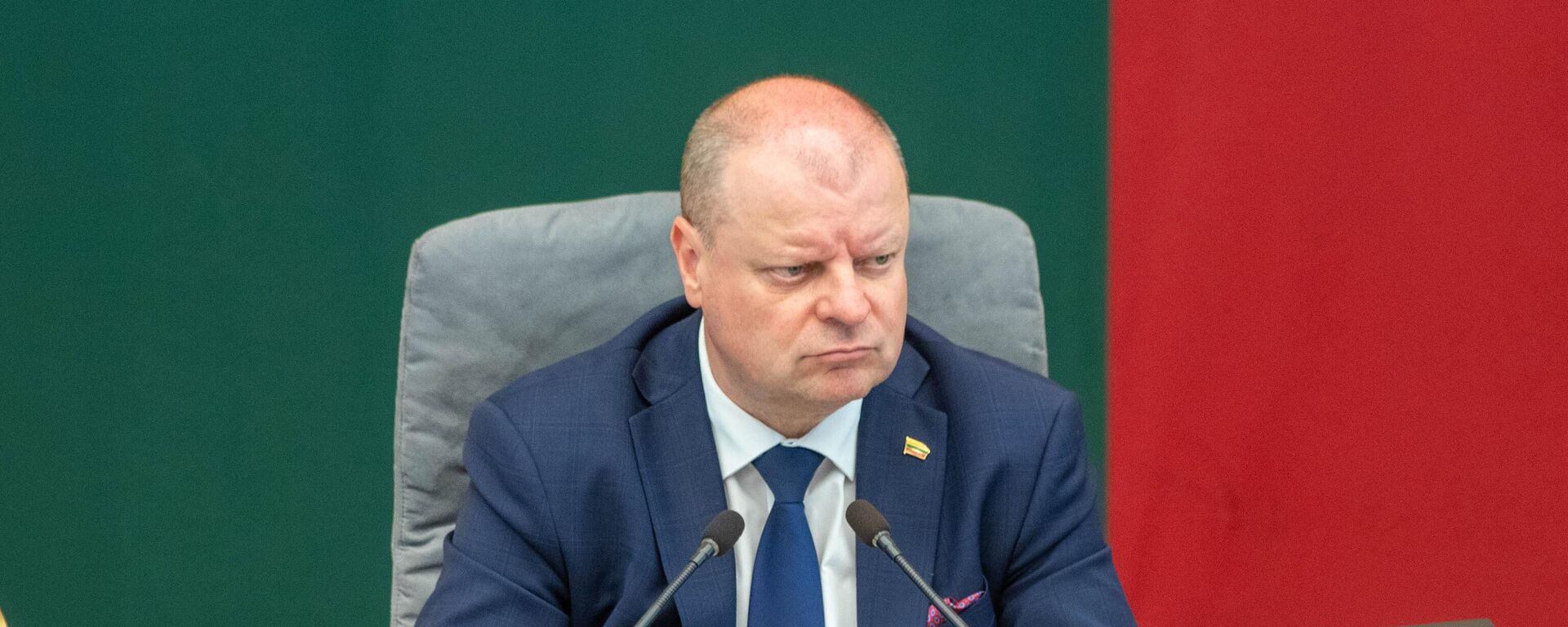 Спикер Сейма Литвы Саулюс Сквернялис, архивное фото - Sputnik Литва, 1920, 14.08.2025