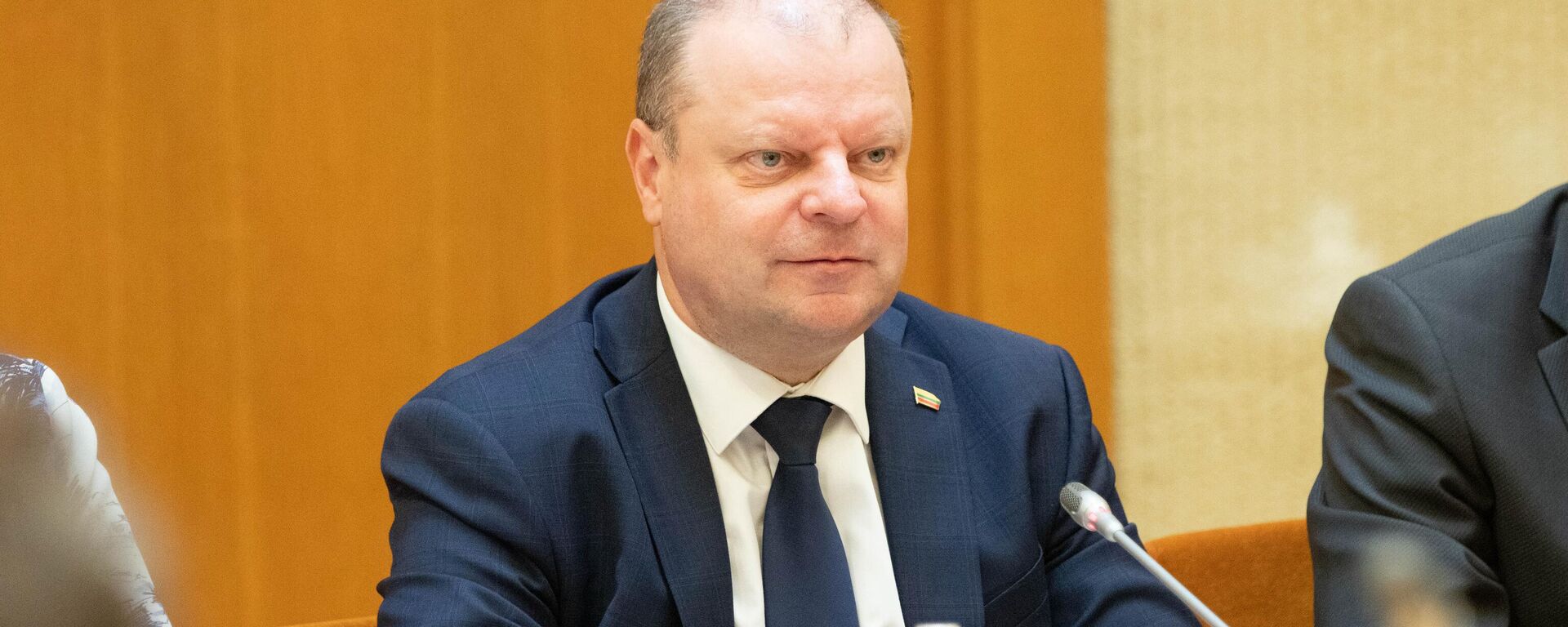 Спикер Сейма Литвы Саулюс Сквернялис, архивное фото - Sputnik Литва, 1920, 10.09.2025