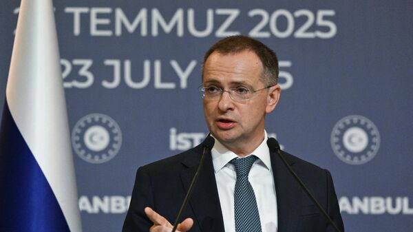 Помощник президента РФ Владимир Мединский - Sputnik Литва