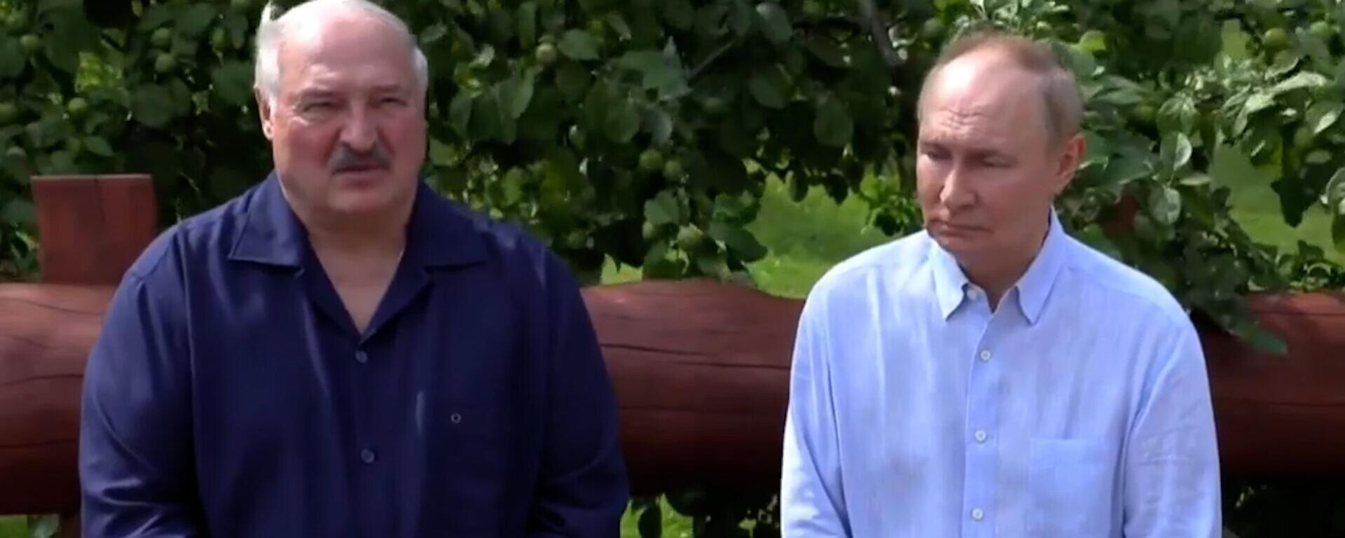 Полное видео с ответами Путина и Лукашенко на вопросы журналистов - Sputnik Литва, 1920, 01.08.2025