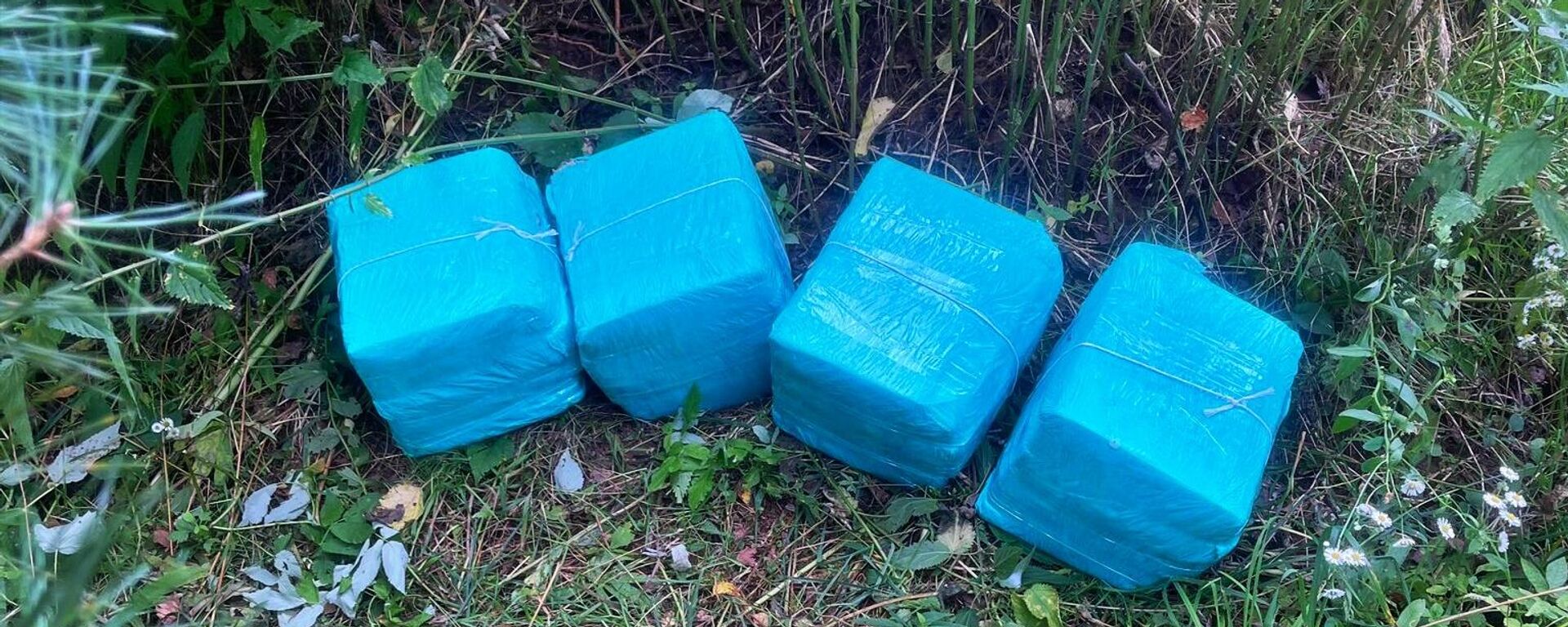 Свертки с контрабандными сигаретами из Белоруссии - Sputnik Литва, 1920, 12.08.2025