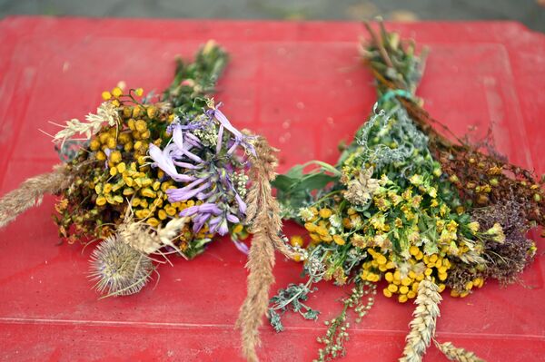 Согласно легендам, травы имеют не только целебные свойства, но и отгоняют злых духов от домов. - Sputnik Литва