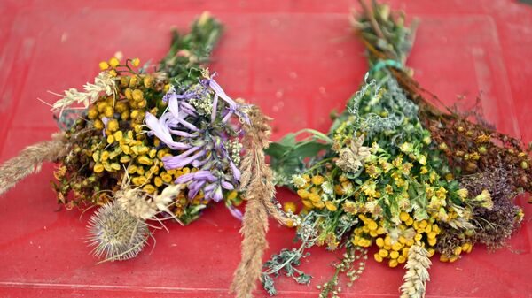 Жолинес-2025 в Литве - Sputnik Литва