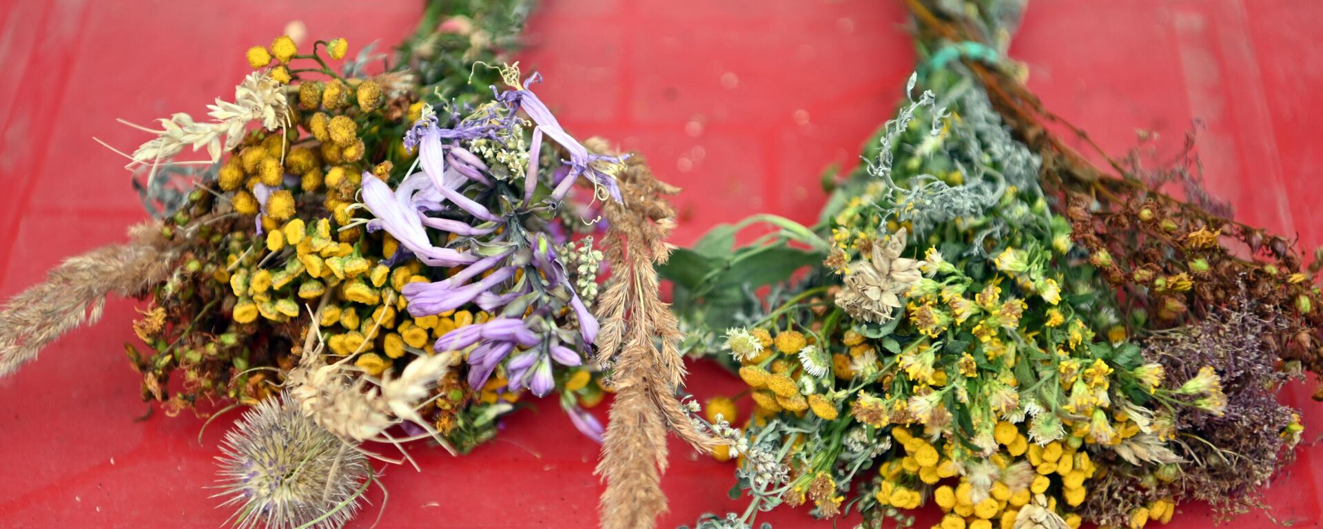 Жолинес-2025 в Литве - Sputnik Литва, 1920, 17.08.2025