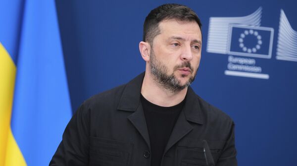 Владимир Зеленский, архивное фото - Sputnik Литва