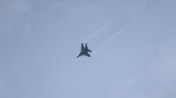 Истребитель МиГ-29 ВВС Украины, архивное фото - Sputnik Литва