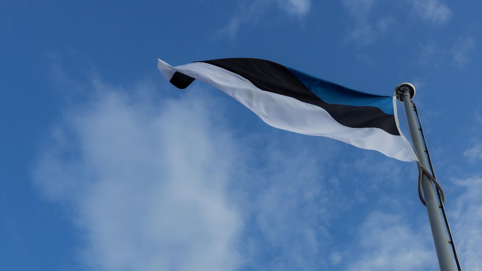 Флаг Эстонии, архивное фото - Sputnik Литва, 1920, 03.11.2025