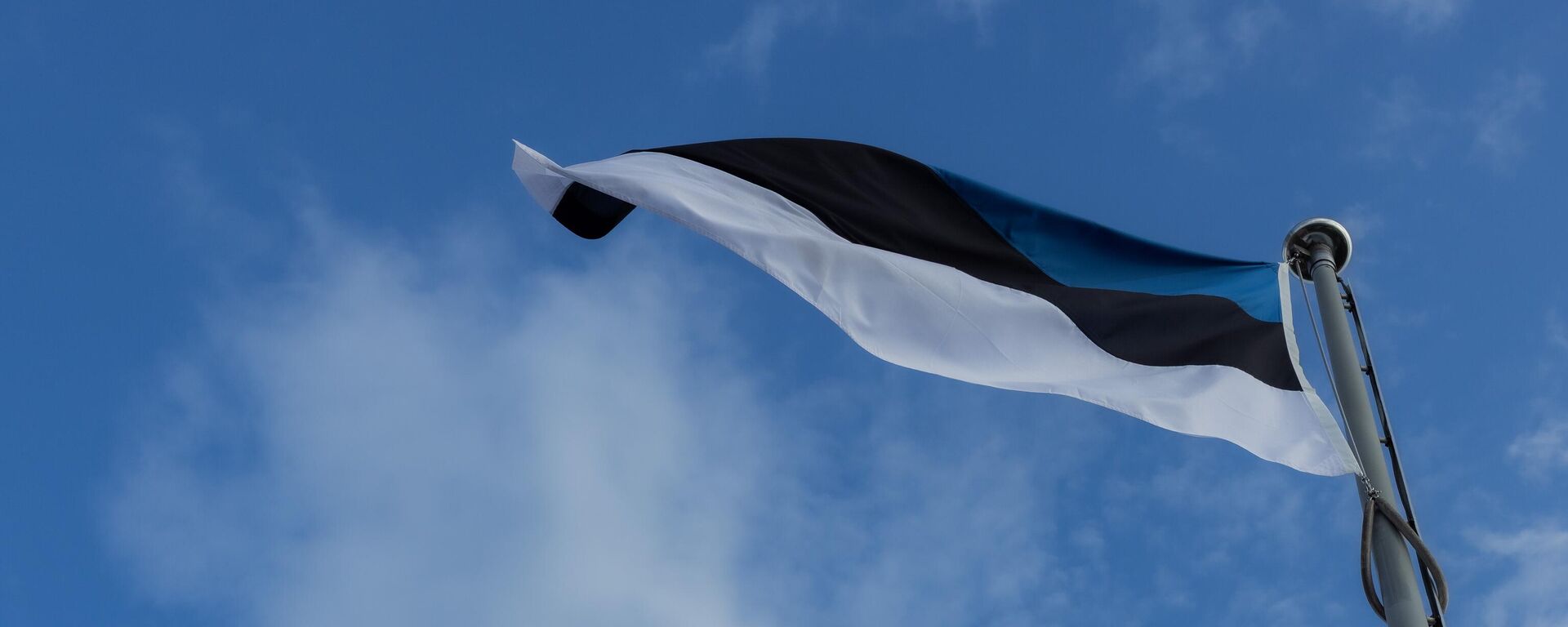 Флаг Эстонии, архивное фото - Sputnik Литва, 1920, 07.10.2025