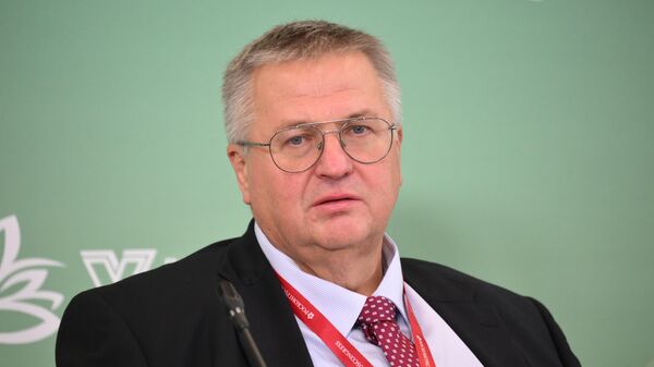 Вице-премьер России Алексей Оверчук - Sputnik Литва