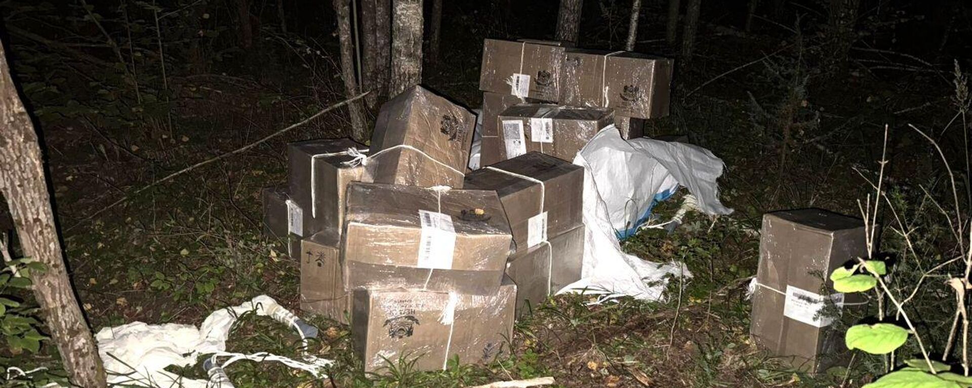 Партия контрабандных сигарет, которую перехватили литовские пограничники, архивное фото - Sputnik Литва, 1920, 12.10.2025