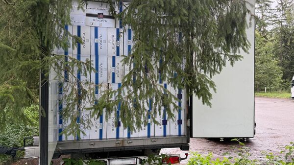 Партия контрабандных сигарет, которую перехватили литовские таможенники - Sputnik Литва