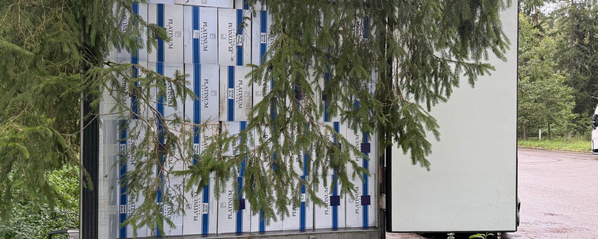 Партия контрабандных сигарет, которую перехватили литовские таможенники - Sputnik Литва, 1920, 05.09.2025