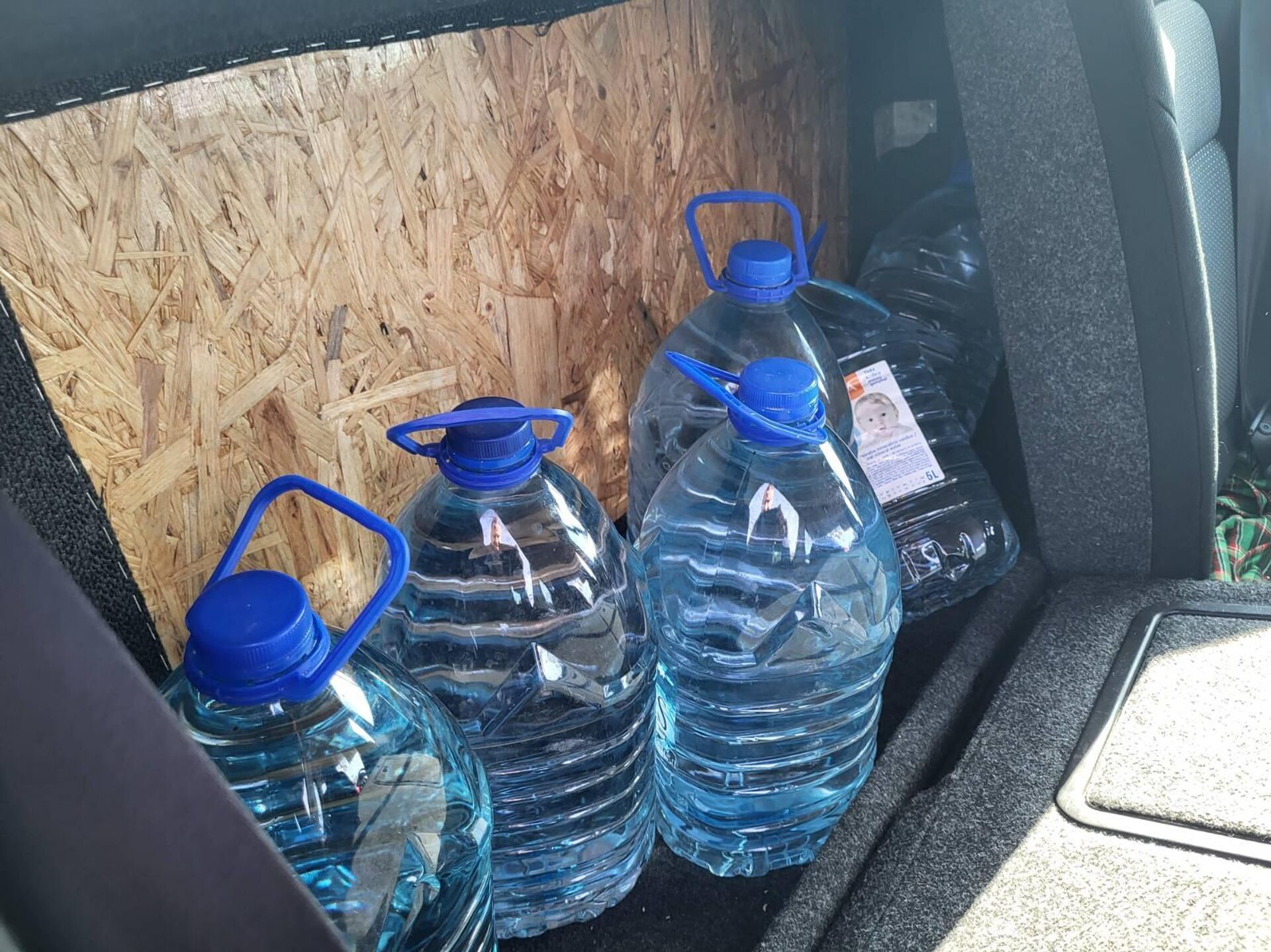 Самогон, обнаруженный литовскими пограничниками  - Sputnik Литва, 1920, 08.09.2025