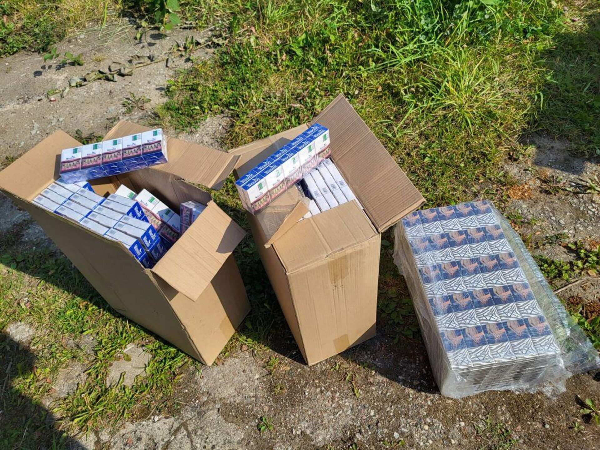 Партия контрабандных сигарет, которую перехватили литовские пограничники - Sputnik Литва, 1920, 08.09.2025