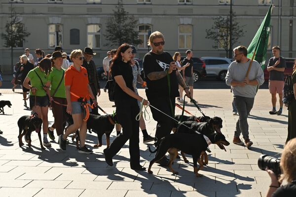 Еще одна порода, которую можно было встретить на фестивале — немецкий ягдтерьер. - Sputnik Литва